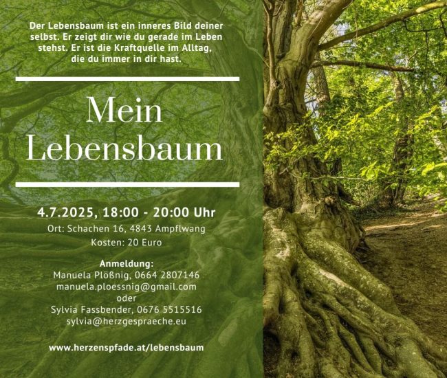 2025-07-04_Lebensbaum_FB