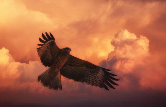 sunset-g7f1628ad7_1920 sunset-g7f1628ad7_1920